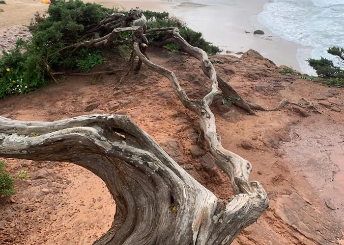Casa Bellarosa Nyaraló