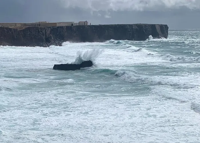 펜션 Casa Bellarosa Raposeira (Faro)